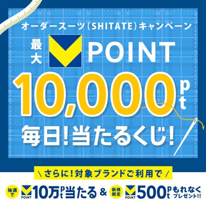 Vポイント 1000ポイント当たる