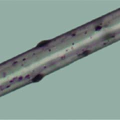 人体に反応する活性粒子