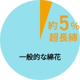 綿100%