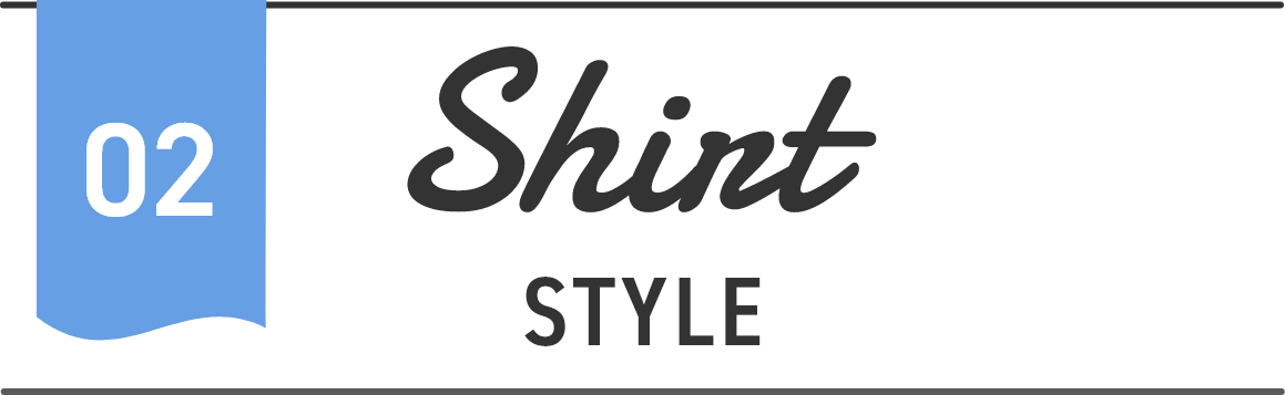 02 Shirt STYLE ノンアイロンマックスブラウスの主な機能 ノンアイロンマックス ストレッチ 防汚加工