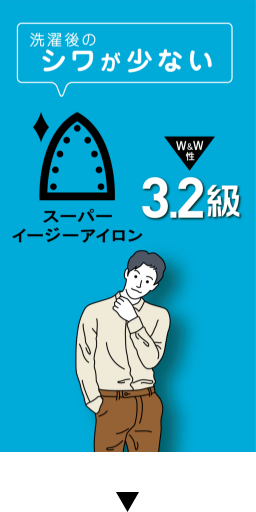 洗濯後のシワが少ない スーパーイージーアイロン 3.2級