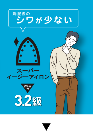 洗濯後のシワが少ない スーパーイージーアイロン 3.2級