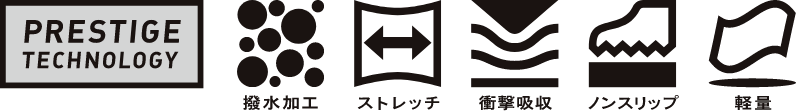 すごシューズ 機能アイコン