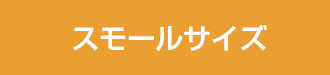 レディース　スモールサイズ