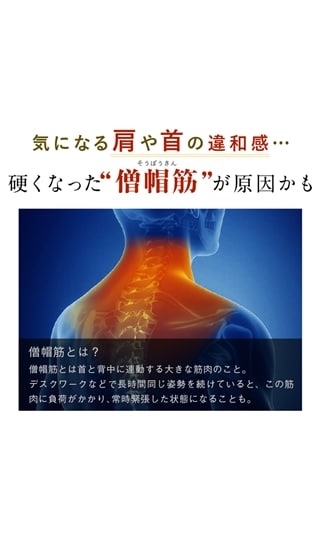 NIPLUX NECK RELAX 1S【WEB限定】